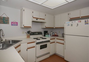 Beautiful and Quiet 2 Bedroom Condo - SV267