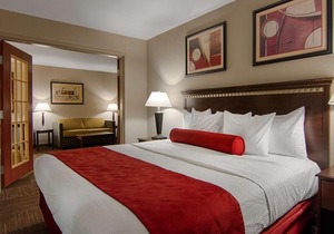 BEST WESTERN Auburndale Inn & Suites
