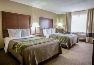 Comfort Inn Morris