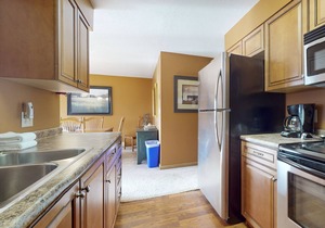 Ski-in/out Condo on Bull Run Trail with fireplace, & full kitchen