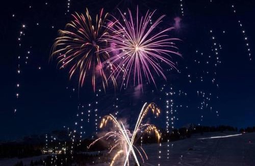 Notre-Dame-de-Bellecombe Apartment | À Notre-Dame-de-Bellecombe: charmant appart 4-5 pers, terrasse sud, animaux OK - FR-1-505-56