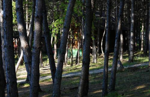Mengen Cabin | Çampınarı Doğa Evleri & Restaurant