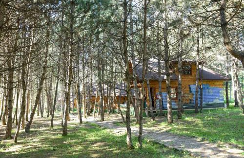 Mengen Cabin | Çampınarı Doğa Evleri & Restaurant