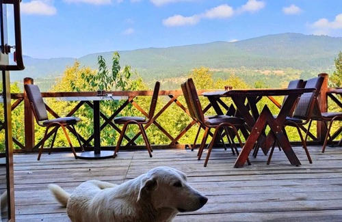 Mengen Ski Chalet | ÇAMPINARI DOĞA EVLERİ & RESTAURANT