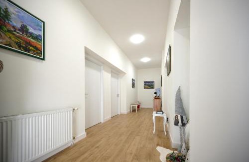 Kikinda House | Čudesni drvored