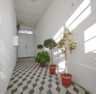 Kikinda House | Čudesni drvored