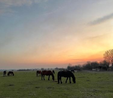 Vojvodina House | Šumski Kutak