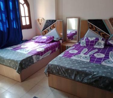 Nasr City Apartment | فيلا دوبليكس مفروشة فاخرة للايجار