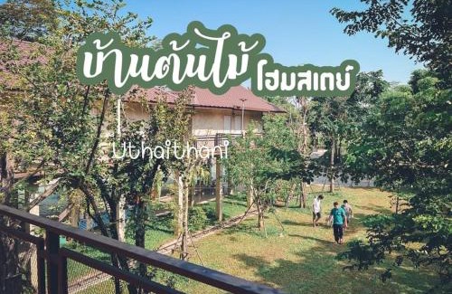 Sakae Krang House | บ้านต้นไม้โฮมสเตย์อุทัยธานี