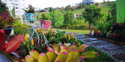 Khaem Son House | บ้านปลายฝัน Baanplaifun