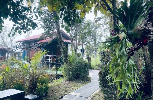 Samoeng Resort | บ้านสวนวิวทุ่ง