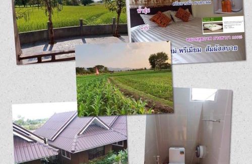 Phrae Resort | ร่มไม้สายธาร(Rommaisaitharn Resort)