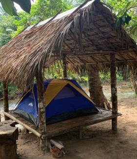 Phato Other | สวนบุศรา ลานกางเต็นท์วิถีเกษตร