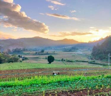 Huai Makhuea Som Other | สวนไร่รุ่งอรุณ Suan Rai Rungarun