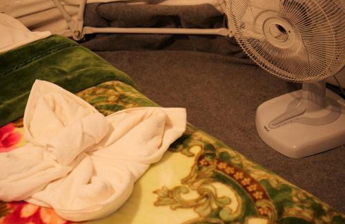 Mok Cham Pae Other | เห็ดเหลือง แคมป์โซนเต็นท์โดมDome tents Camping Zone Hedreung Rakthai camping