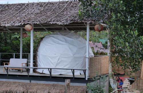 Mok Cham Pae Other | เห็ดเหลือง แคมป์โซนเต็นท์โดมDome tents Camping Zone Hedreung Rakthai camping