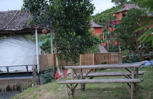Mok Cham Pae Other | เห็ดเหลือง แคมป์โซนเต็นท์โดมDome tents Camping Zone Hedreung Rakthai camping