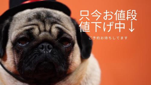 Susukino Apartment | 豊水すすきの駅から徒歩数分 IK Minami 6 Jo Residence 101 IK南6条レジデンス