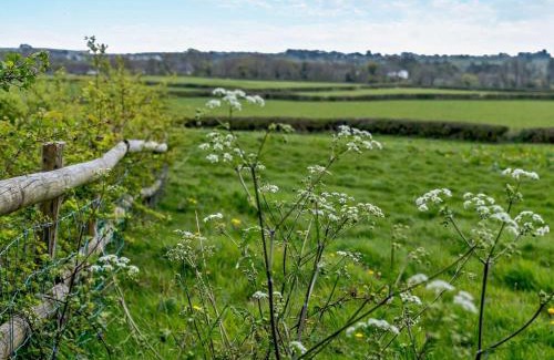 Crynant House | 1 Bed in Gower 74221