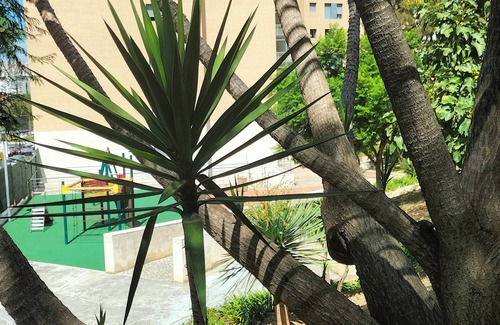 Lisbon Old Town Condo | 1-bedr. Lisbon-center, AC, swimming pool, garden, 1 free parking space