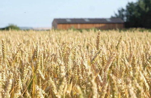 Waterlooville Cottage | 1 bedroom accommodation in Hambledon, South Downs National Park