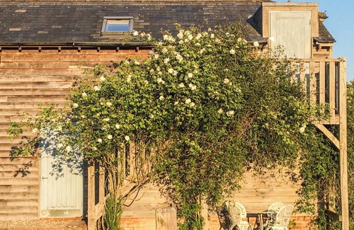 Bilting Cottage | 1 bedroom accommodation in Brook, near Wye