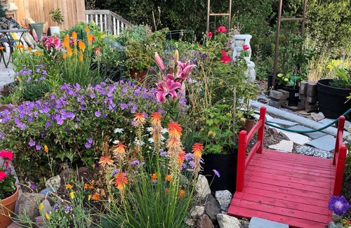 Pinole House | 1-bedroom vacation studio just 15 minutes from San Francisco Bay