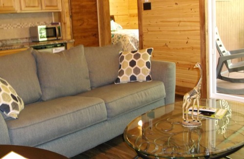 Jones Mills Cabin | #1 Our Romantic Cozy Cabin couples retreat.