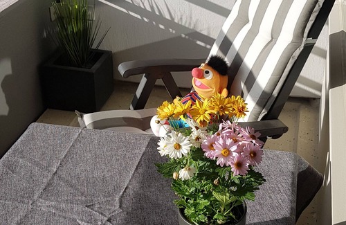 Sierksdorf Apartment | 1 room-Whg., Baltic Sea view, beach location, 33sqm, trendy,