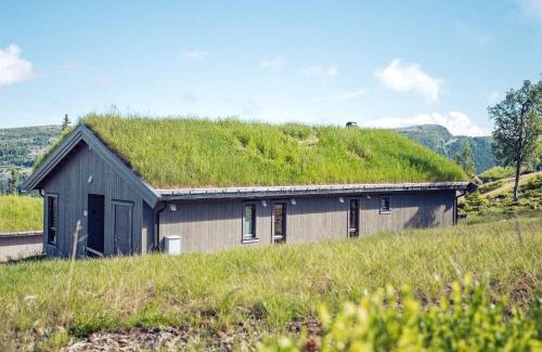 Skeikampen House | 10 person holiday home in Fåvang
