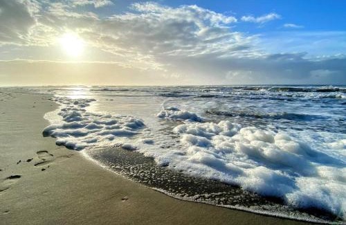 Øby House | 18 person holiday home in Ulfborg-By Traum