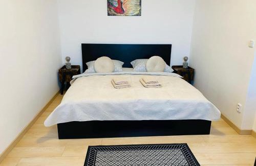 Hradec Kralove Apartment | 1BD Apartment on Masarykovo Square - Bathtube, Desk & Chair, Free Wi-Fi