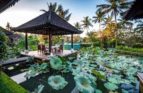 Tabanan Villa | 1Bedroom Superior - Complex Villa in Tabanan Area