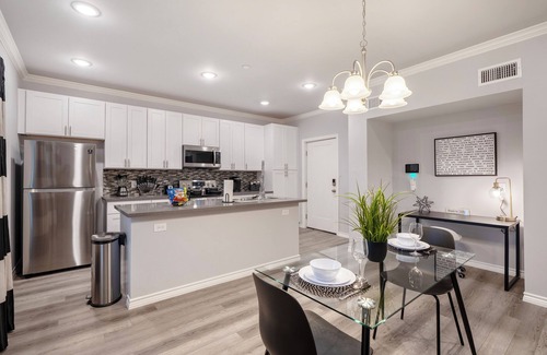 MacGregor Apartment | 1BR The Raven Flats C! Hermann Park! Zoo! Museums! Medical Center!