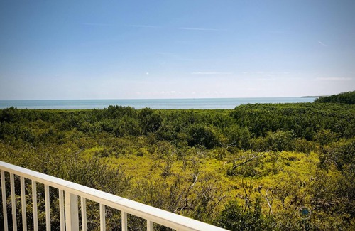 Tavernier Condo | 1BR w/Partial Ocean View, Pool & Beach