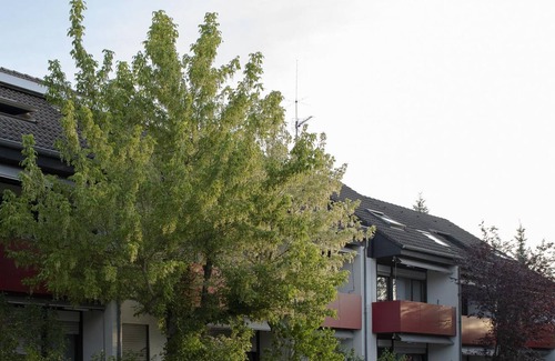 Bad Bergzabern Apartment | 2-bed apartment 31m² - Haus Tannenhof