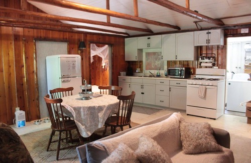Greenbush Cabin | 2-bedroom pet friendly Lake Huron cabin with Hot Tub, Sauna in Greenbush