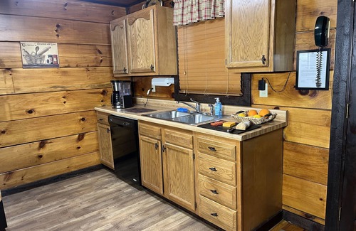 Gatlinburg - Pigeon Forge Cabin | 2 King Bds-SL 4-Great View-9 Mins to D'wood- Most Bear Visits-Cleanest Cabin Too