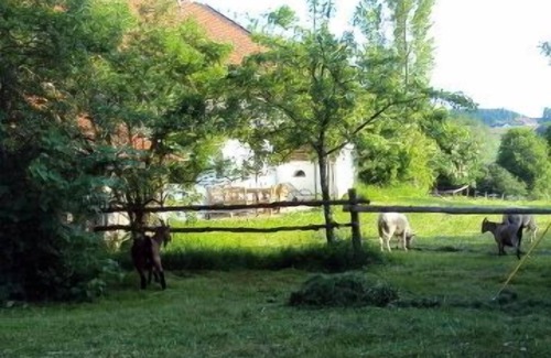 Hebertsfelden Apartment | 2-stöckiges Ferienhaus mit 4 Schlafzimmern und großer Südterrasse