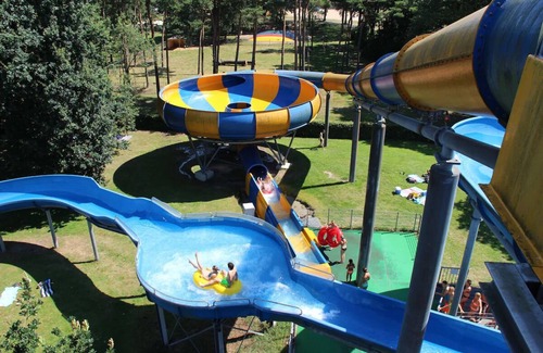 Bosschenhoofd Hotel | 2-Unit Forest Retreat in Bosschenhoofd | Near Nature & City Highlights