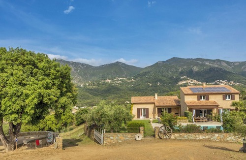 Oletta House | 2 villas with swimming pool in an olive grove in Corsica: relaxation and serenity .