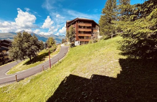Vallandry Apartment | 250m from ski slopes, 3rd floor, balcony, tv, ski locker, 20m², Peisey-Vallandry