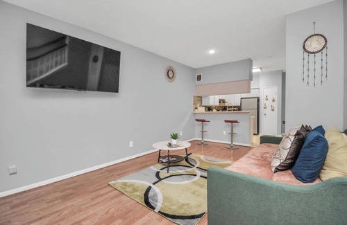 Astrodome Apartment | 2BR Med NRG UH DT Galleria MDA Zoo Pool KgBDS 4KTV