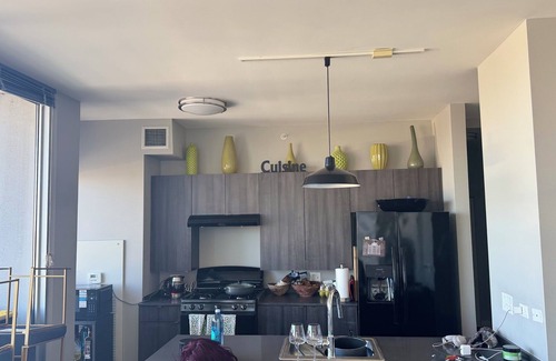 Prairie District Apartment | 2BR South Loop Apt—Walk to Lake, Museums, Aquarium + Pool, Gym, WiFi, & Conv Ct