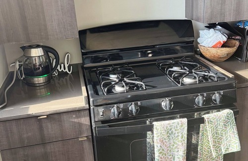 Prairie District Apartment | 2BR South Loop Apt—Walk to Lake, Museums, Aquarium + Pool, Gym, WiFi, & Conv Ct