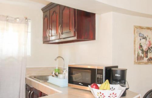 Salt Gut Apartment | 2BR Villa Ocean Views Beach 5mins to Airport