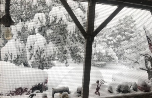 Payson Cabin | 3 bedroom home in quiet community with hiking and fishing