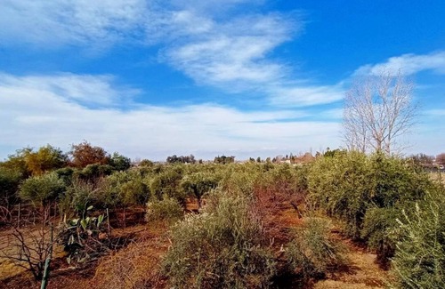 Cuyo House | 3-bedroom house in adorable Maipu with WiFi, fitness room