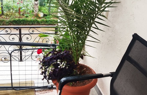 Batumi Villa | 3-bedroom villa in awesome Batumi with WiFi, AC