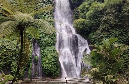 Munduk Other | 3 days jungle trekking adventure tour and camping